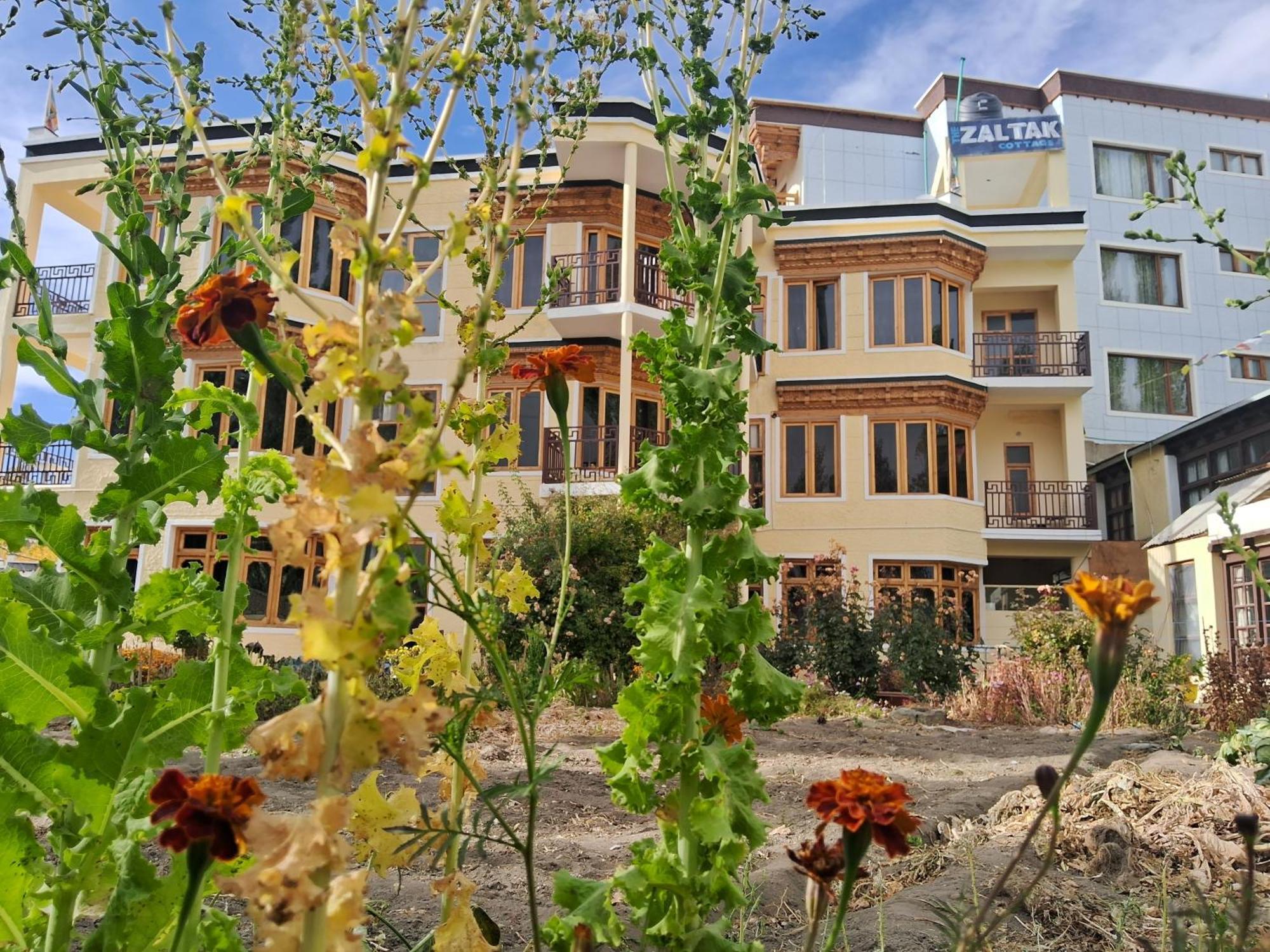 Zaltak Guest House And Hostel Leh Exterior photo